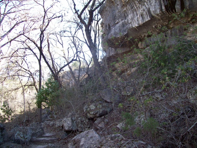2010-03-12-Hamilton Pool-07.jpg
